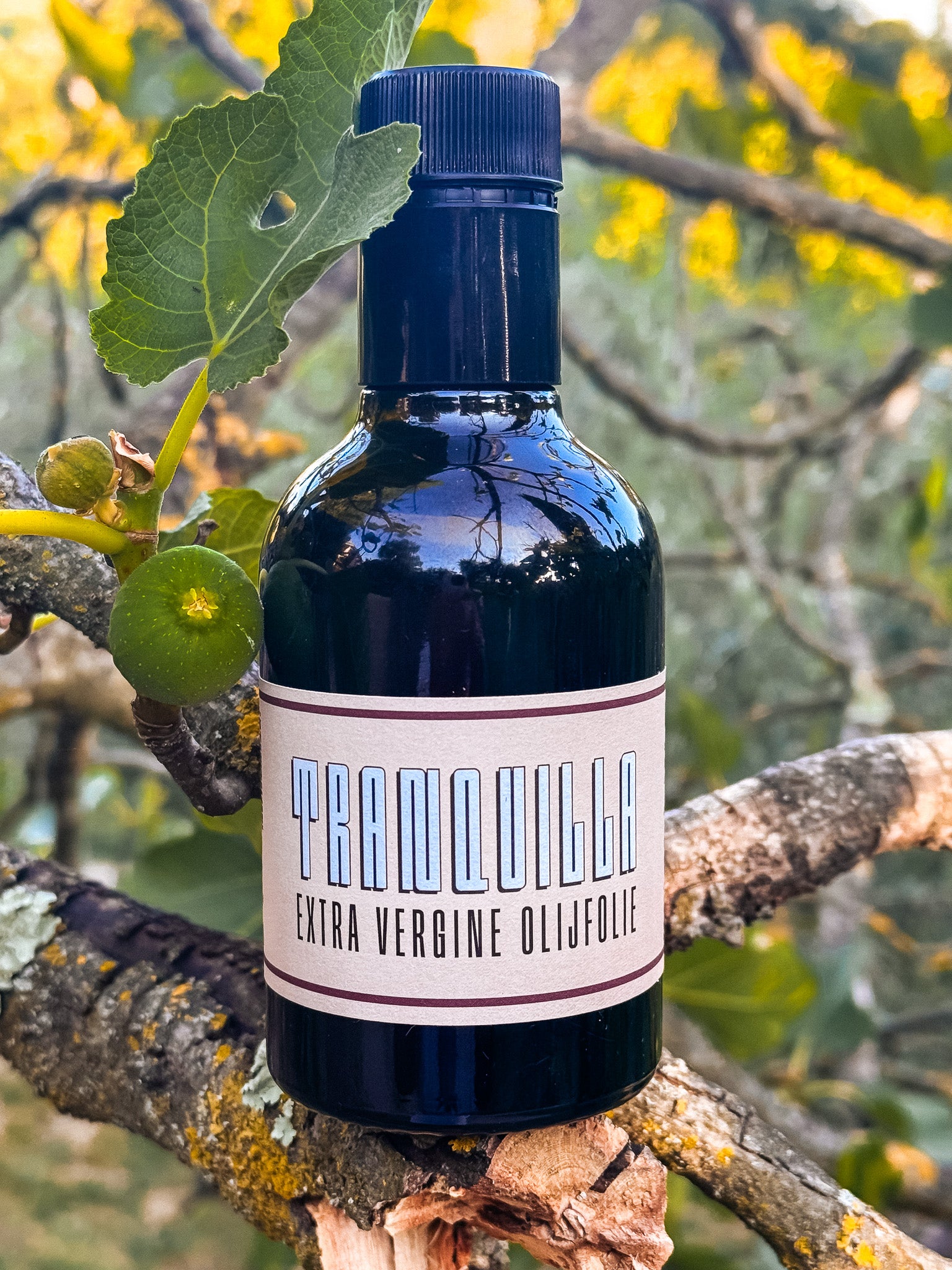 BOTTLE 250 ml extra virgin olive oil