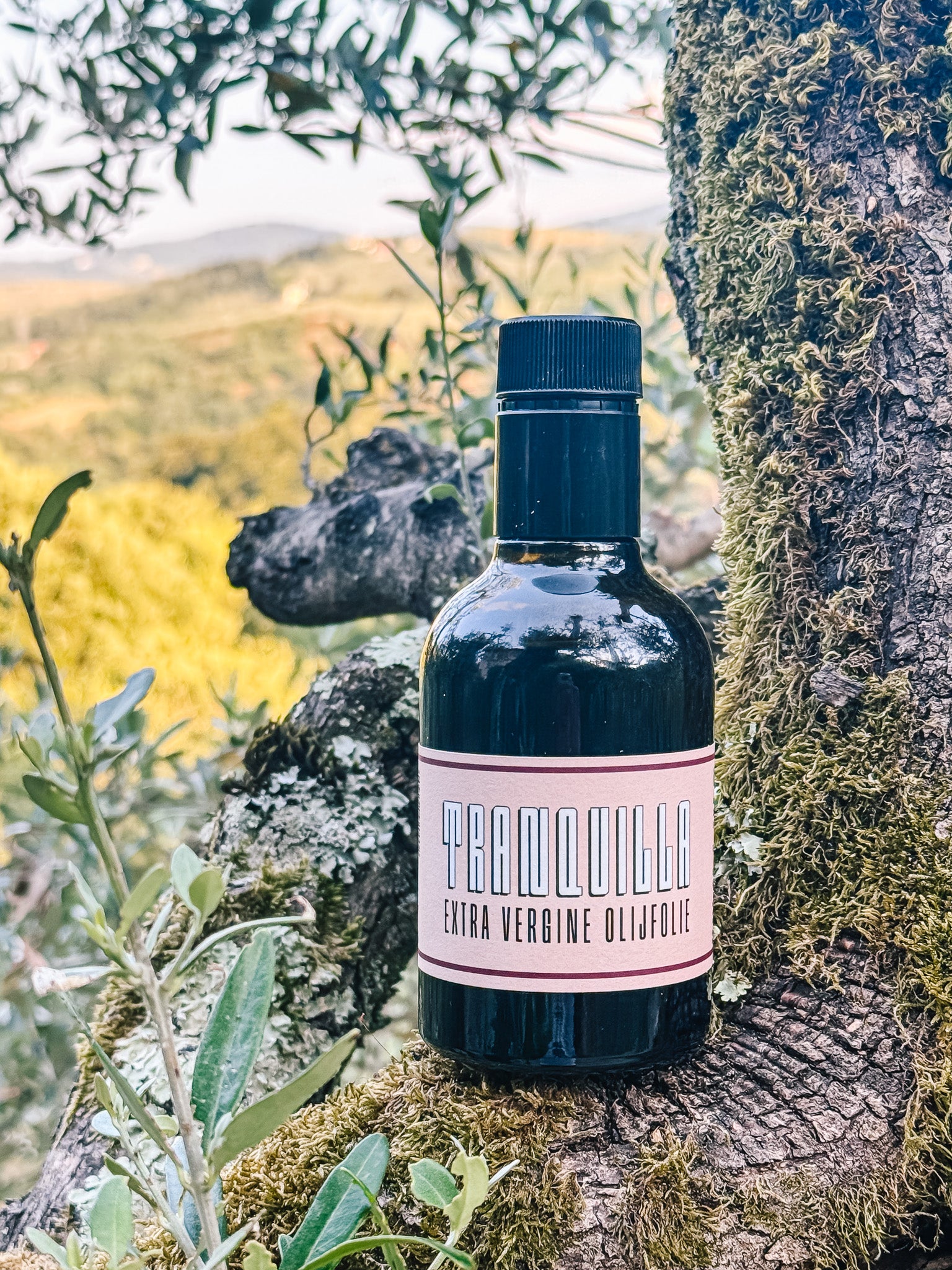 BOTTLE 250 ml extra virgin olive oil